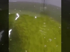 Sensore ottico disciolto ottico online dell'ossigeno del sensore Rs485 dell'ossigeno